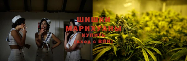 гашик Аркадак