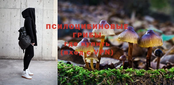 гашик Аркадак
