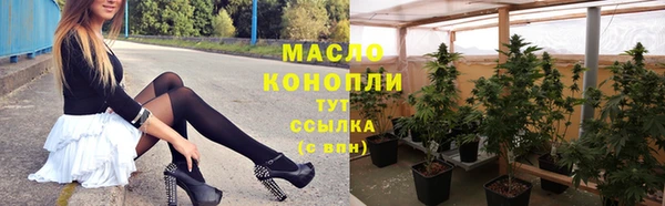 гашик Аркадак