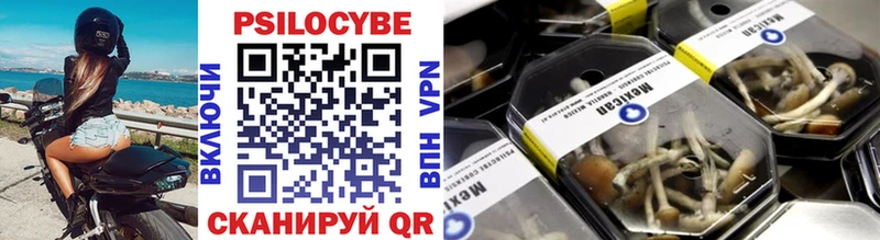 блэк спрут   даркнет сайт  Знаменск  Галлюциногенные грибы Psilocybine cubensis 